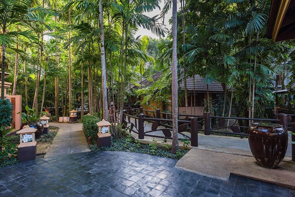 Lush Tropical Setting