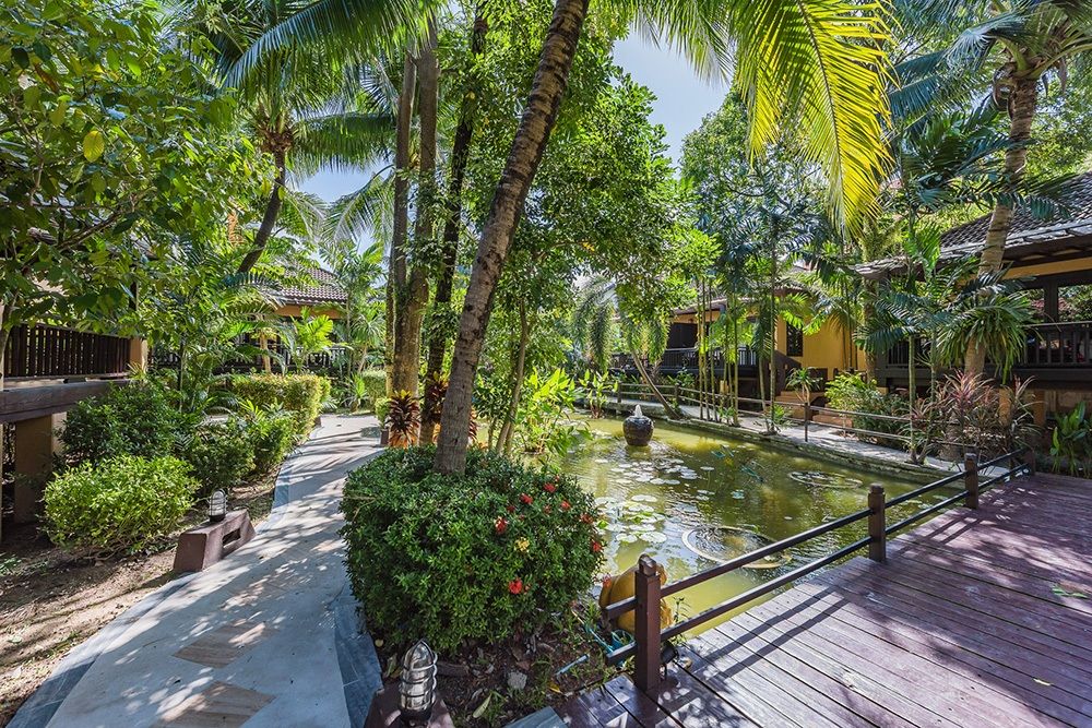 Lush Tropical Setting