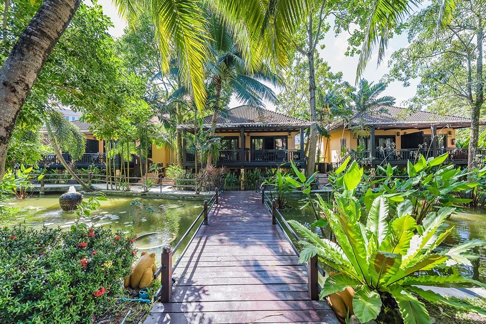 Lush Tropical Setting