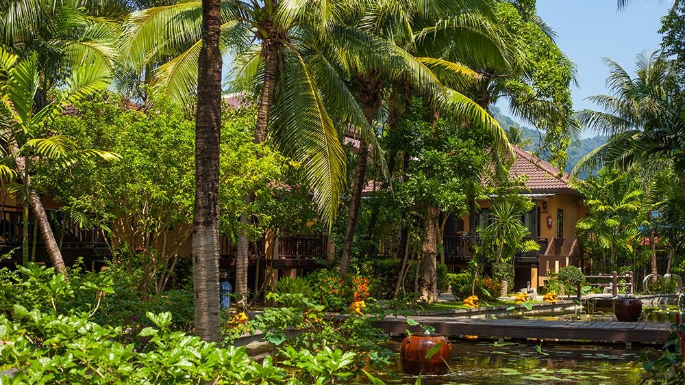 Lush Tropical Setting